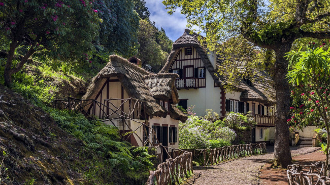 Обои картинки фото португалия,  мадера,  парк пико дас педрас, города, - здания,  дома, коттеджи, улица, деревья