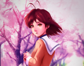 обоя аниме, clannad, кланнад