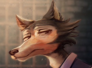 Картинка аниме beastars