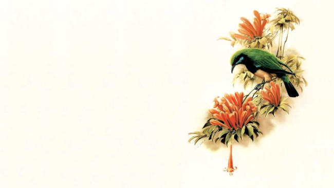 Обои картинки фото рисованное, животные,  птицы, птица, цветы, ветка