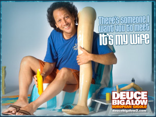 Картинка deuce bigalow european gigolo кино фильмы