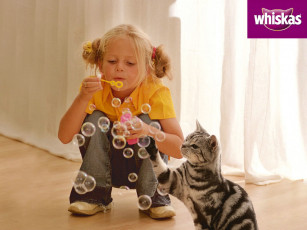 Картинка бренды whiskas