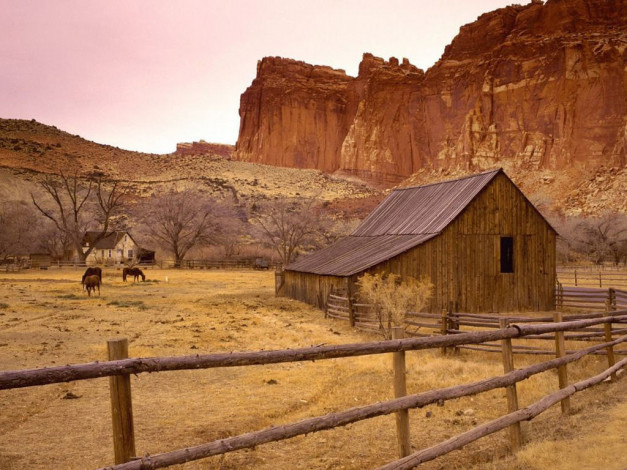 Обои картинки фото 