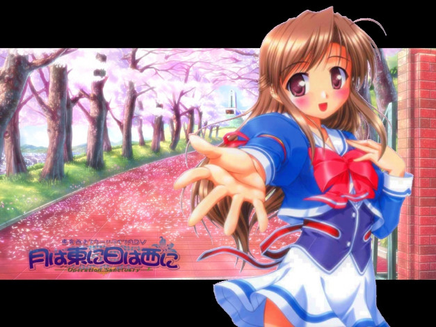 Обои картинки фото аниме, hani, operation, sanctuary