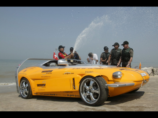 Обои картинки фото автомобили, rinspeed