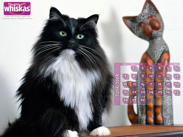 Обои картинки фото бренды, whiskas