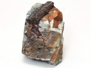 Картинка разное ракушки кораллы декоративные spa камни