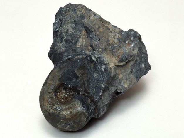 Обои картинки фото разное, ракушки, кораллы, декоративные, spa, камни