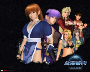 Картинка dead or alive online видео игры