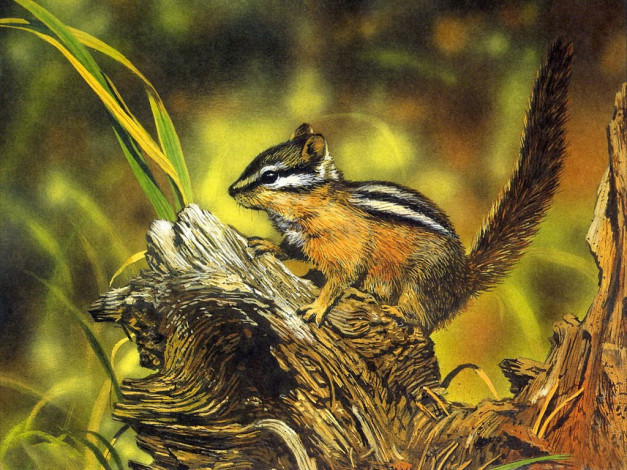 Обои картинки фото рисованные, животные