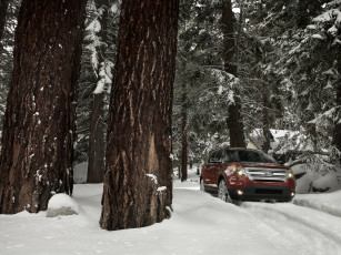 Картинка автомобили ford