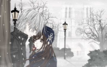 Картинка аниме vampire knight