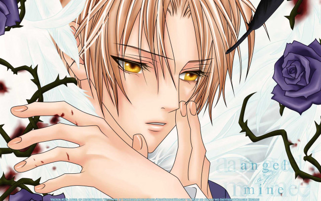 Обои картинки фото uragiri, wa, boku, no, namae, wo, shitteiru, аниме