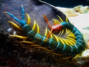 Картинка 3д графика animals животные фрактал