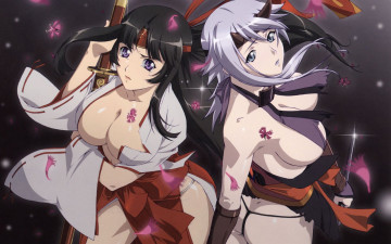 Картинка аниме queen`s blade грудь девушки