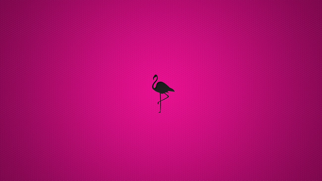 Обои картинки фото векторная, графика, фламинго