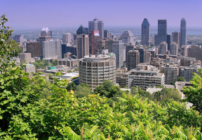 Обои картинки фото монреаль, канада, города, панорамы, деревья, небоскребы, здания