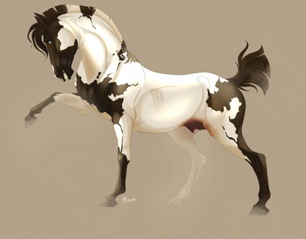 Обои картинки фото рисованные, животные,  лошади, лошадь