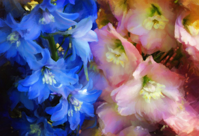 Обои картинки фото рисованные, цветы, дельфиниум
