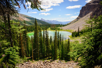 Картинка природа реки озера горы лес озеро