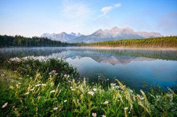 Картинка природа реки озера река горы лес