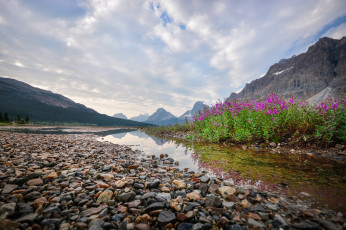 Картинка природа реки озера река лес горы