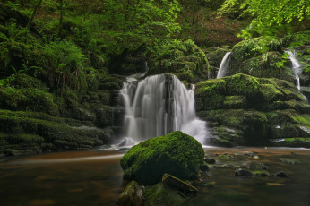 Картинка природа водопады водопад река лес