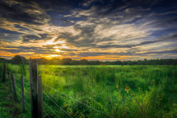 Картинка природа восходы закаты утро поле