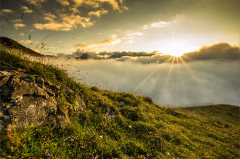 Картинка природа восходы закаты туман рассвет