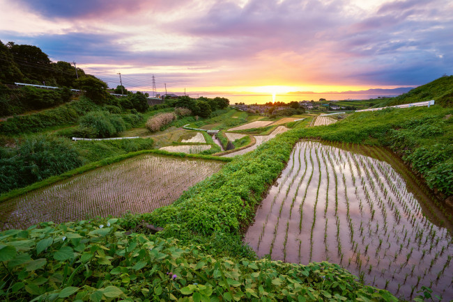 Обои картинки фото природа, поля, рассвет