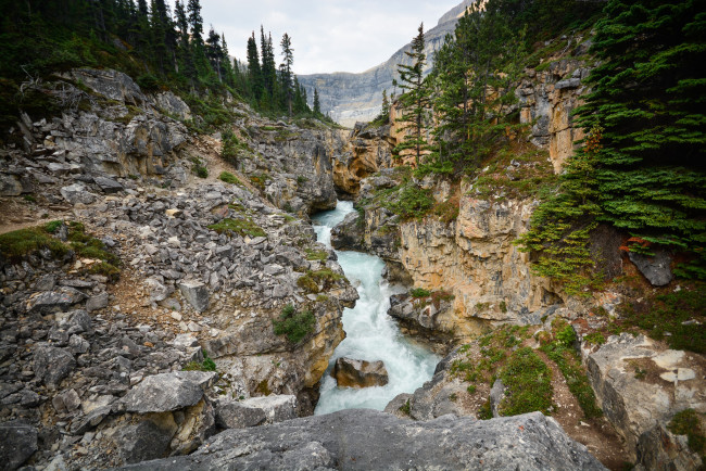 Обои картинки фото природа, реки, озера, река, лес, горы