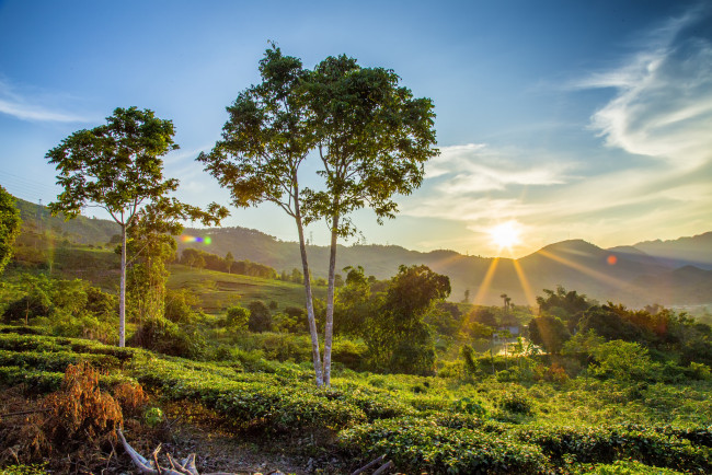 Обои картинки фото природа, восходы, закаты, рассвет, долина