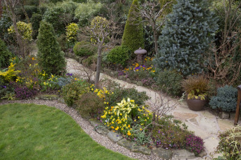 Картинка англия природа парк деревья цветы трава