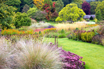 Картинка природа парк деревья кусты лужайка