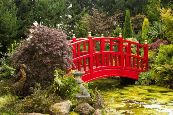 Картинка природа парк водоем мост кустарники деревья птица