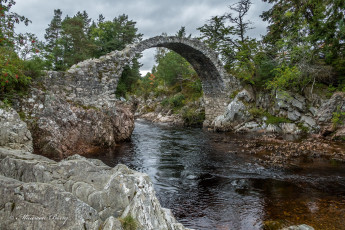 Картинка природа реки озера простор