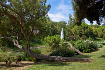 Картинка природа парк простор