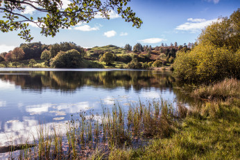 Картинка природа реки озера простор