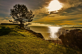 Картинка природа реки озера дерево камни трава водоем облака