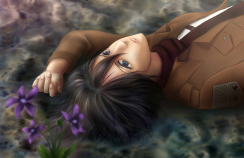 Картинка аниме shingeki+no+kyojin микаса