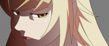 Картинка аниме bakemonogatari kizumonogatari