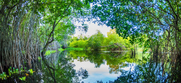 Картинка природа реки озера простор