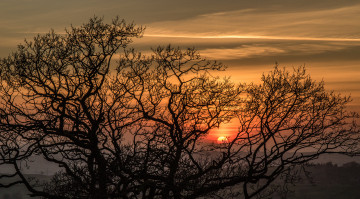 Картинка природа восходы закаты простор