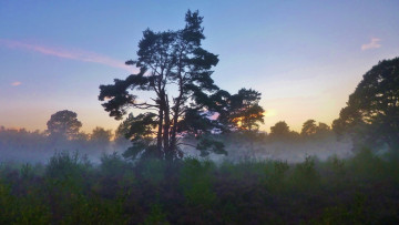 Картинка природа восходы закаты простор