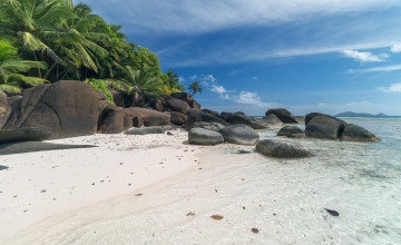 Картинка природа побережье море песок камни пальмы