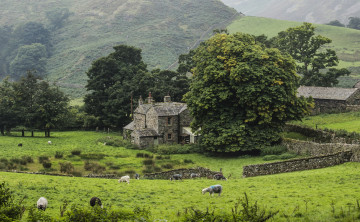 Картинка англия природа пейзажи здания ограждение бараны пастбище деревья