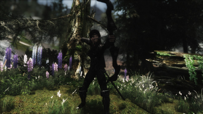 Обои картинки фото 3д графика, амазонки , amazon, девушка, фон, взгляд