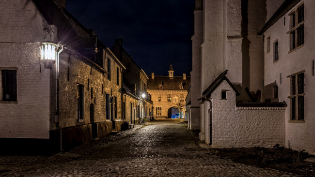 Обои картинки фото бельгия, города, - улицы,  площади,  набережные, ночь, дорога, здания, фонари