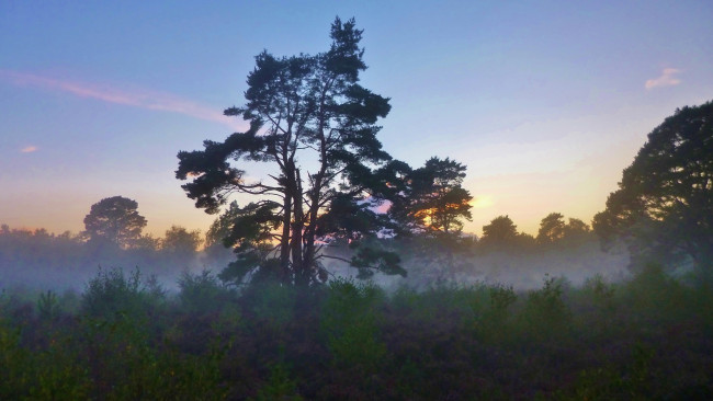 Обои картинки фото природа, восходы, закаты, простор