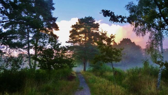 Обои картинки фото природа, восходы, закаты, простор